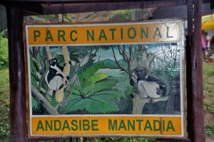 Mantadia Nationalpark 