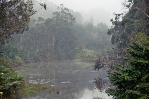 See am Rande des Nationalparks     