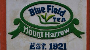 Bluefield Tea Factory