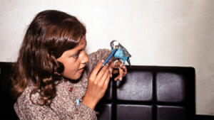 1968 - Karin-4